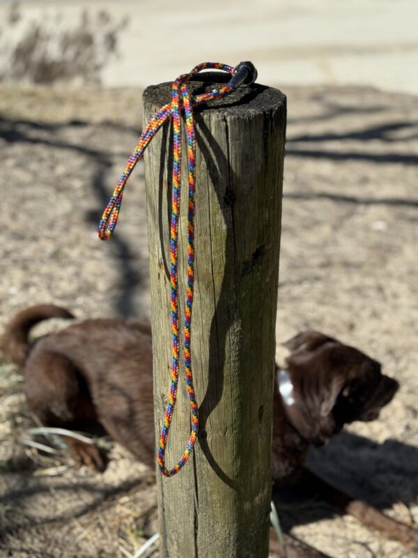 Soft Rope Slip Lead - Image 4