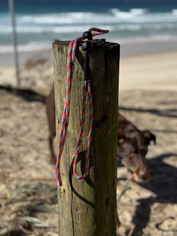 Soft Rope Slip Lead - Image 5