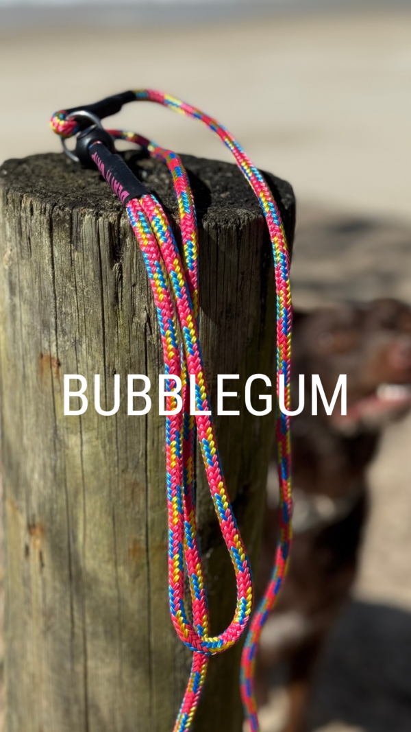 Soft Rope Slip Lead - Image 5