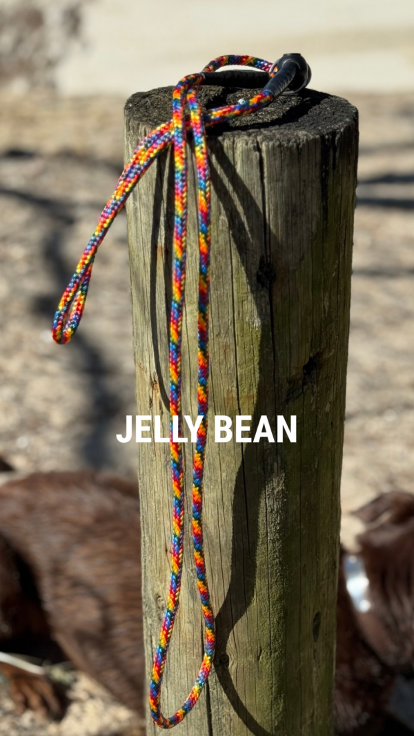 Soft Rope Slip Lead - Image 2