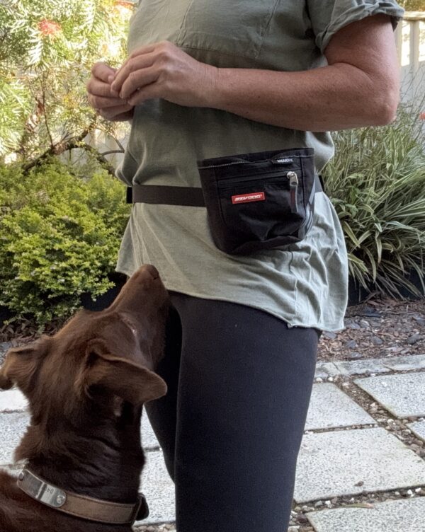 EZY DOG SnakPak Treat Bag - Image 3